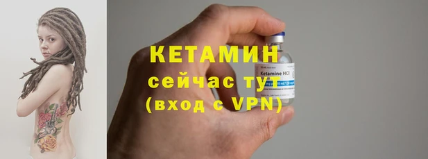 прущие грибы Елабуга