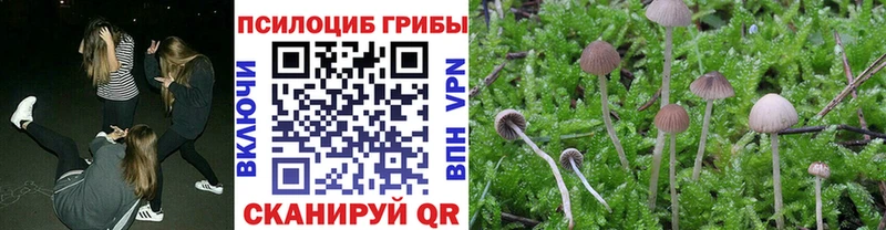 Псилоцибиновые грибы GOLDEN TEACHER  где купить   Люберцы 